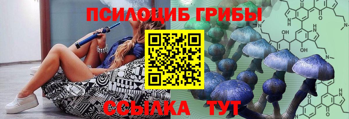 Галлюциногенные грибы мицелий Уссурийск